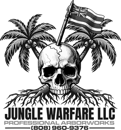 final-logo-web